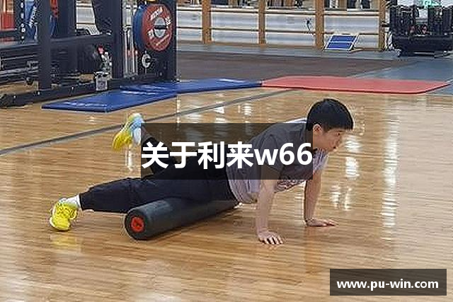 关于利来w66